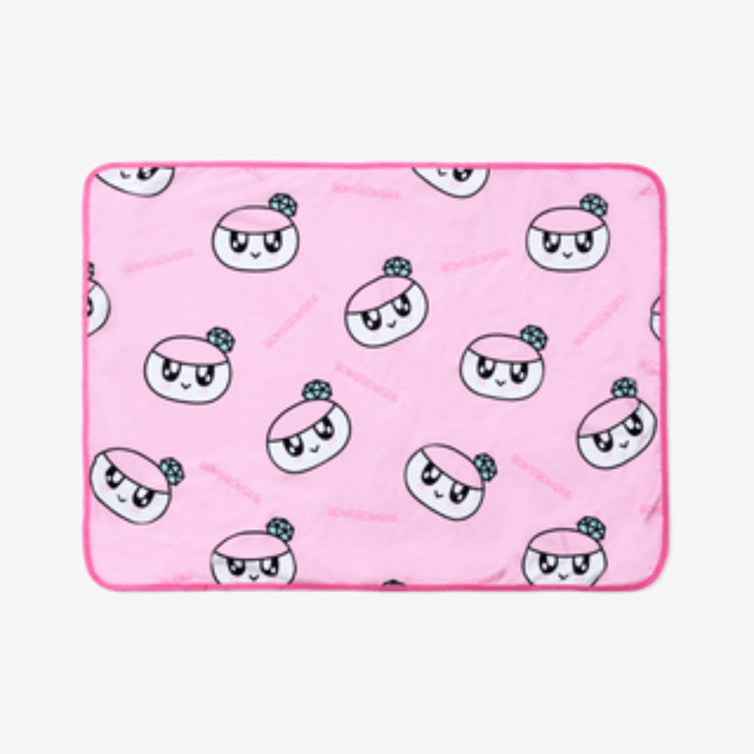 Seventeen Follow Again Concert Merch