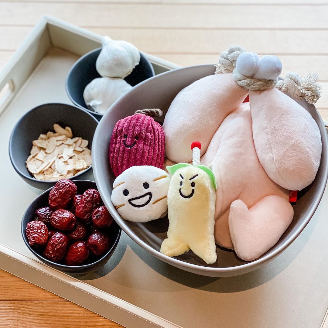 Korean Ginseng Chicken Soup Hidden Food Pet Sniff Toy