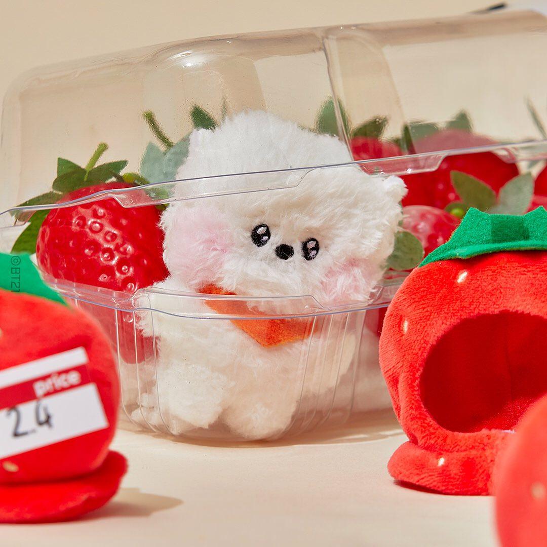 BT21 Mini Minini Fruit Series Plush, Keyring