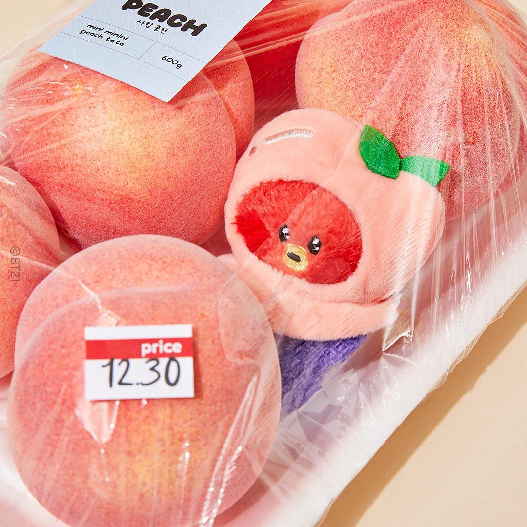 BT21 Mini Minini Fruit Series Plush, Keyring