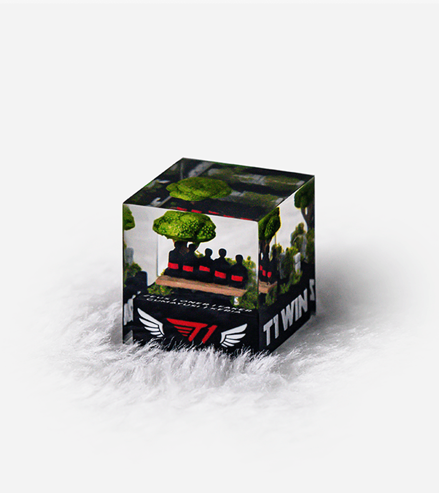 【预购】2024 T1 世界冠军 ZOFGK 键帽