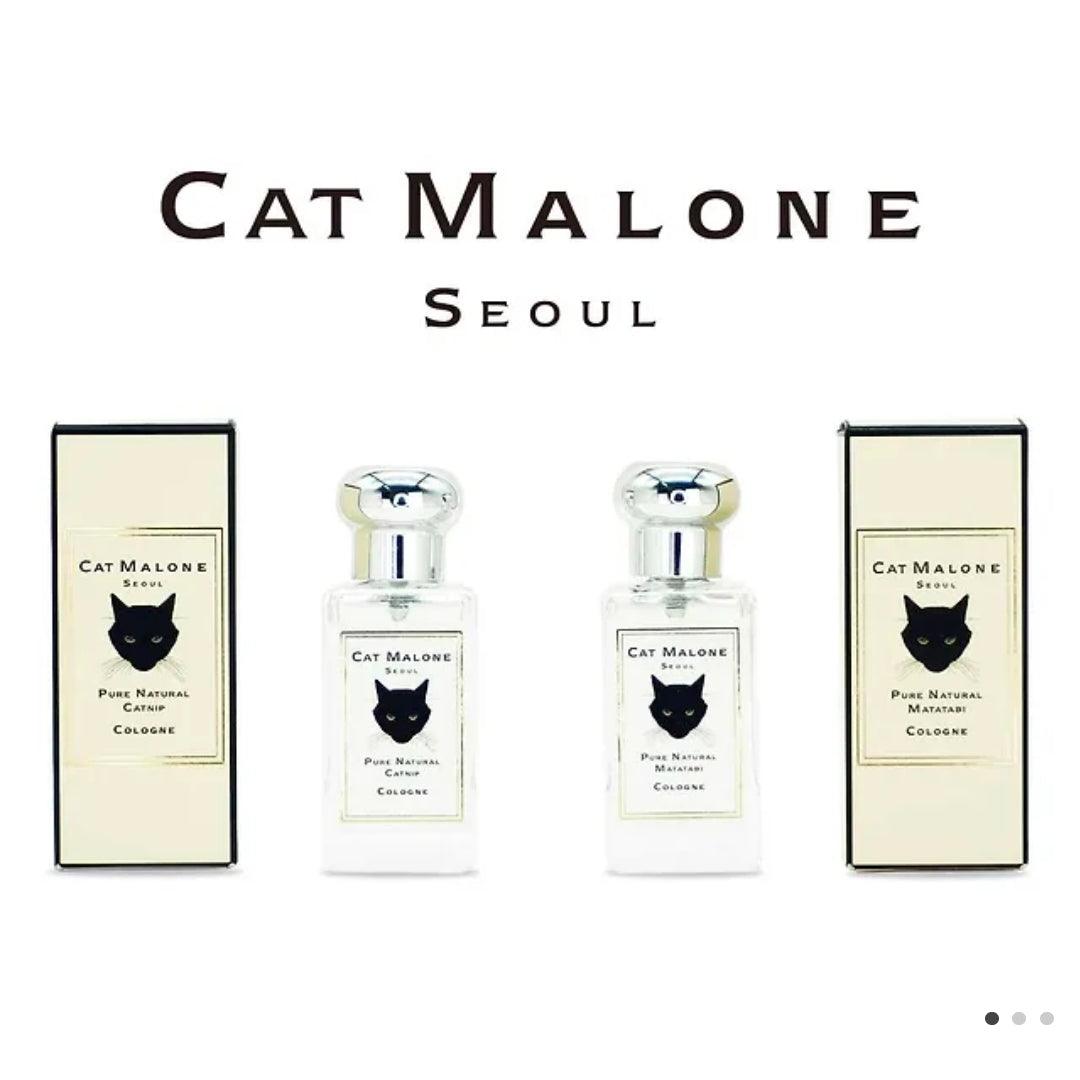 【我的猫】我的猫是可爱的猫咪企划“Cat Malone Seoul”香水