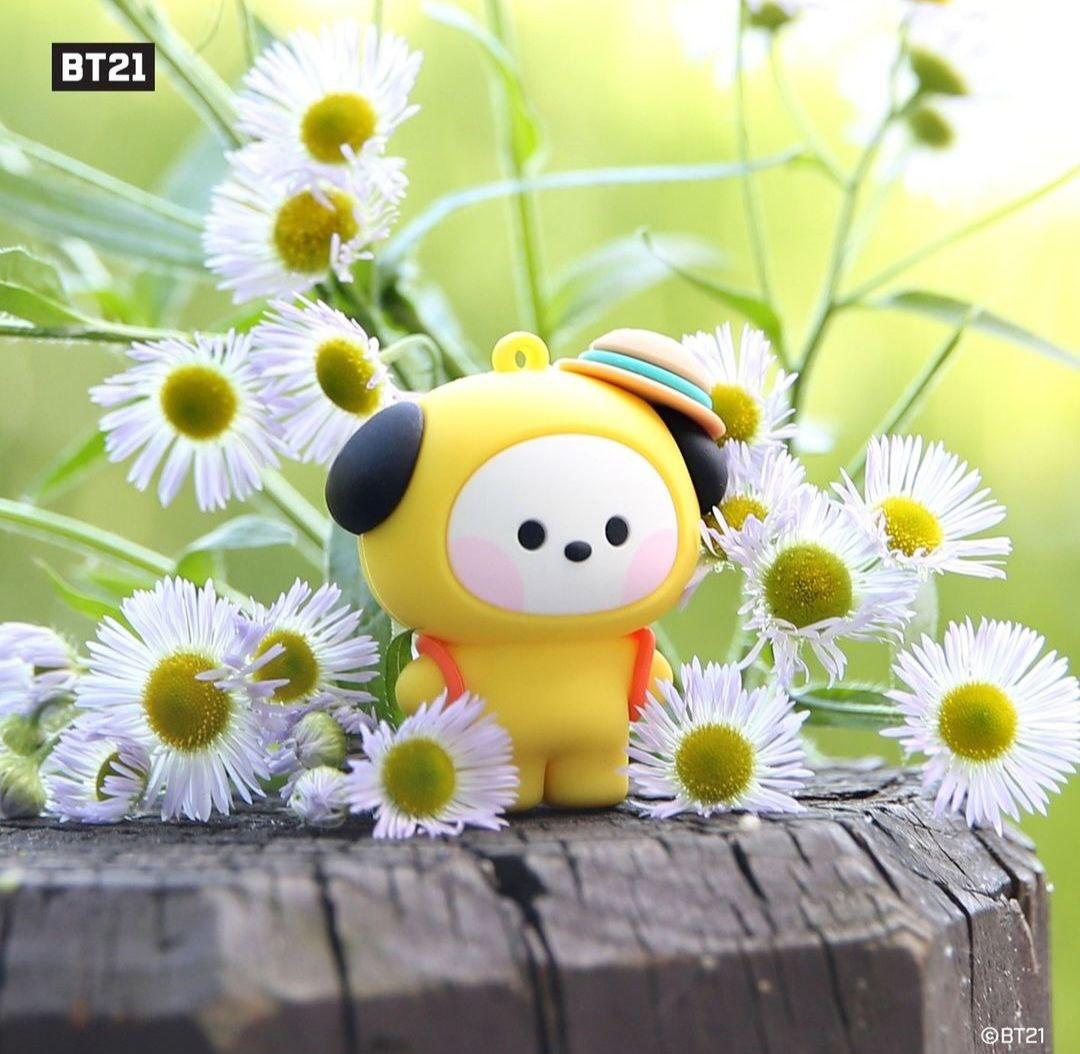 BT21 minini Figure Keyring - Picnic Series