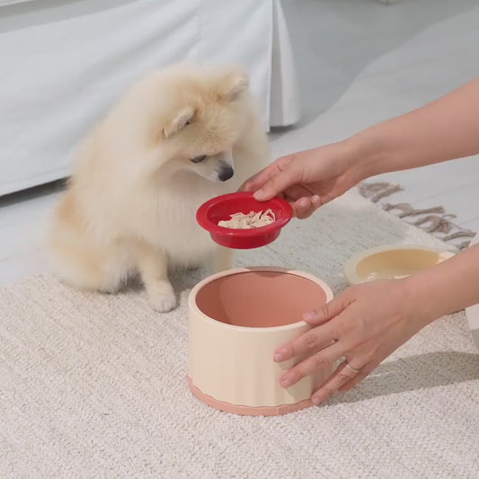 CCOMOOLY SNIFF SNIFF SNIFF PICKY FURRY BOWL