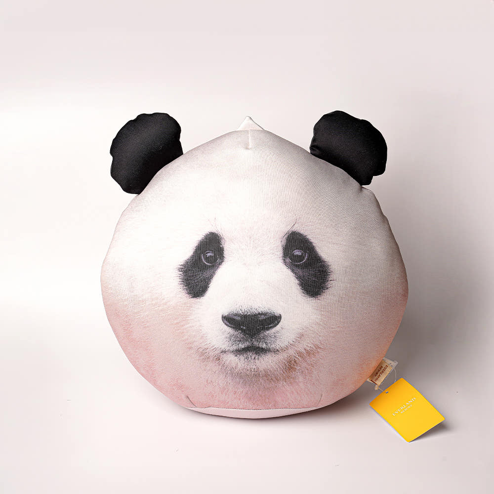 Everland Fubao Ruihui Face Cushion