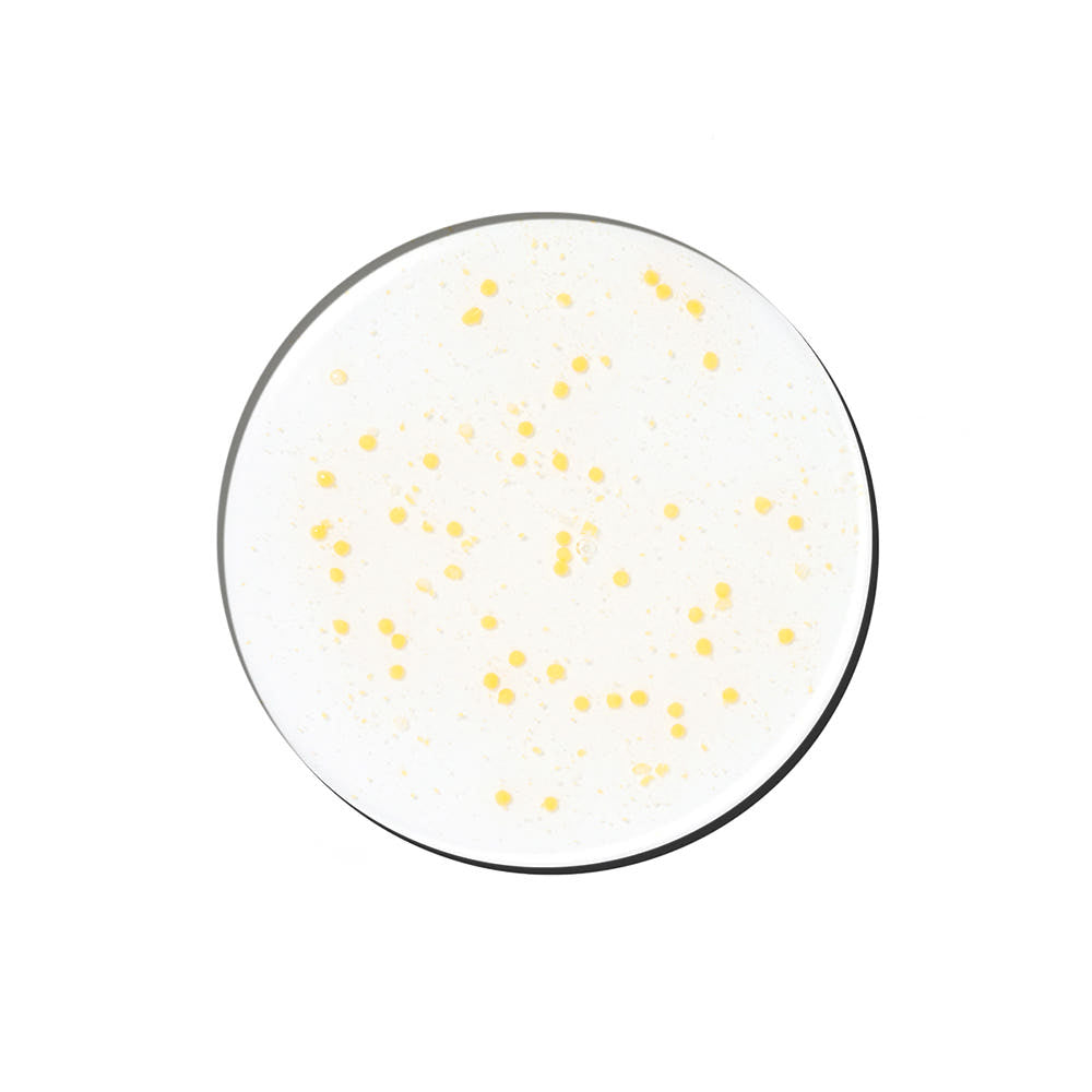 Genabelle PDRN & Glutathione Vitamin Capsule Ampoule 30+30ml (2 types) - Kgifts.shop