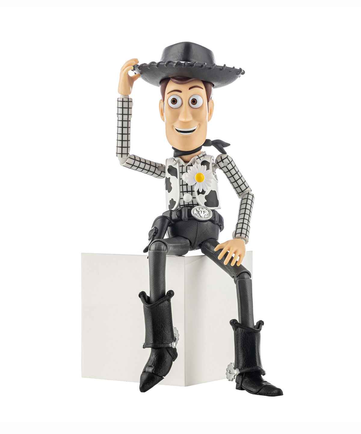 The First Fan Action Figure Woody