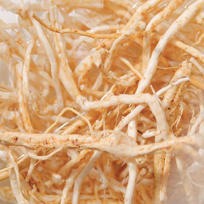 Pyunkang yul Highly Moisturizing Essence Mask Pack (10 pieces)