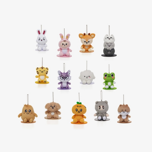 [Pre-order] Seventeen - Miniteen Characters