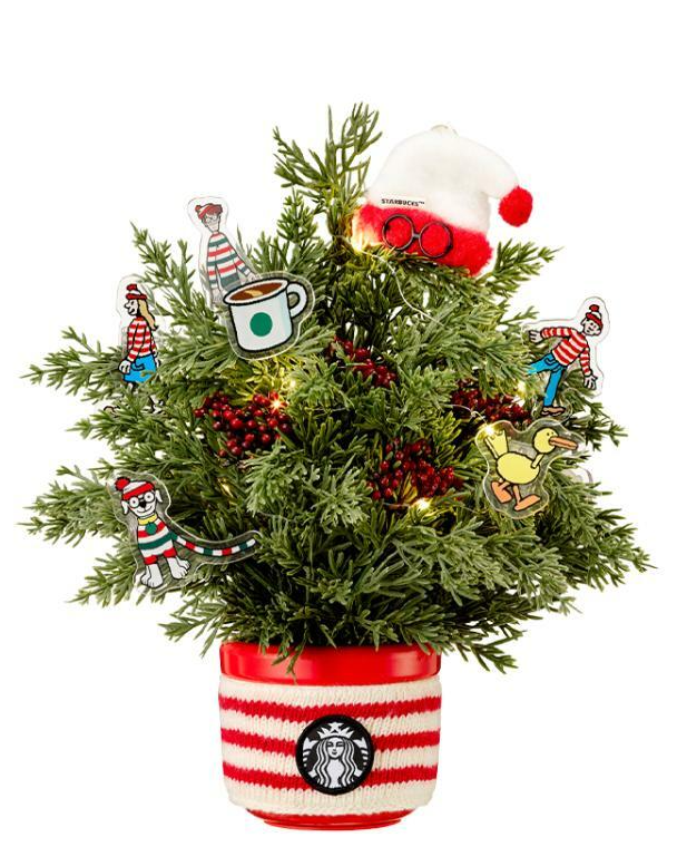 Where is Wally + Starbuck Korea MD