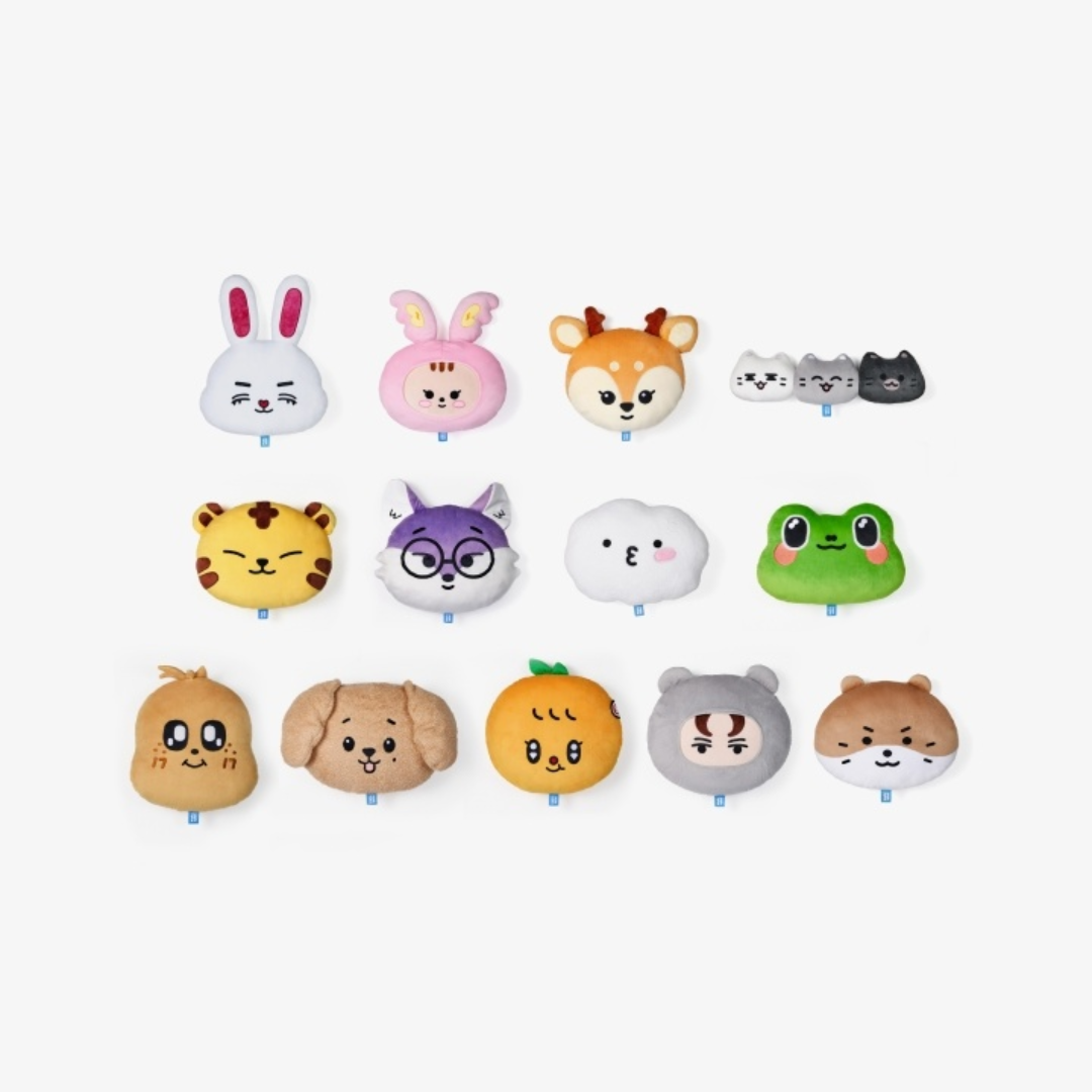 [Pre-order] Seventeen - Miniteen Characters