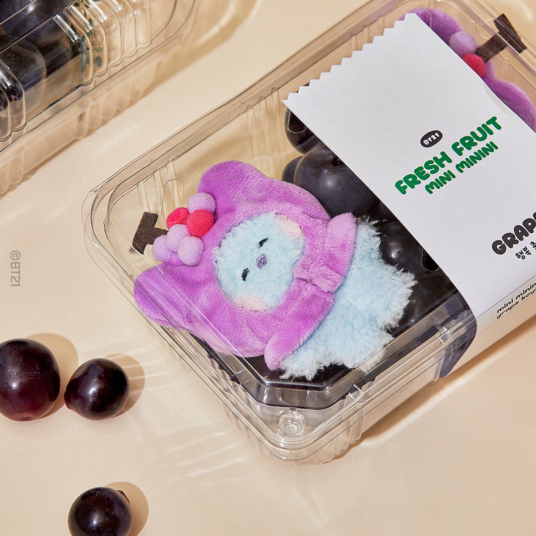 BT21 Mini Minini Fruit Series Plush, Keyring | Kgift.shop