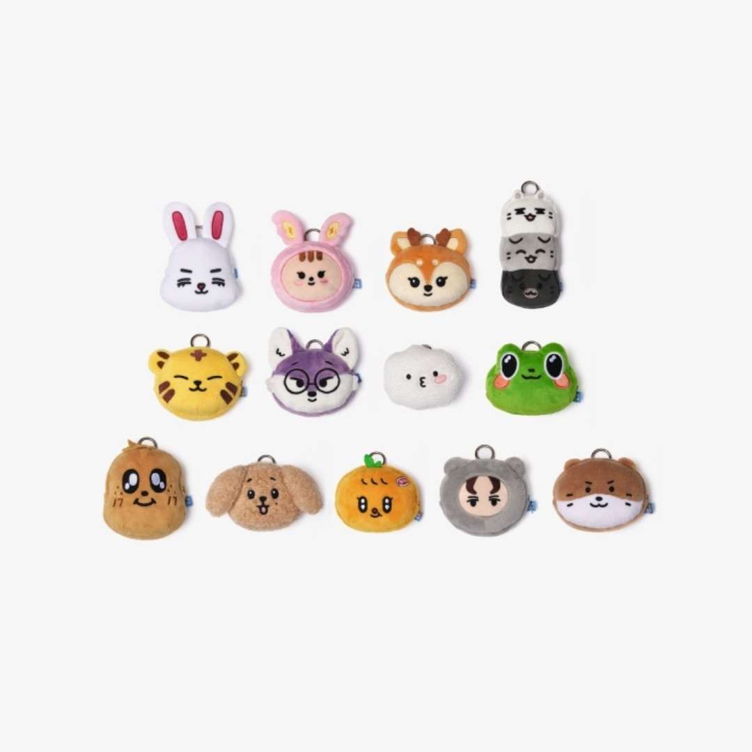 [Pre-order] Seventeen - Miniteen Characters