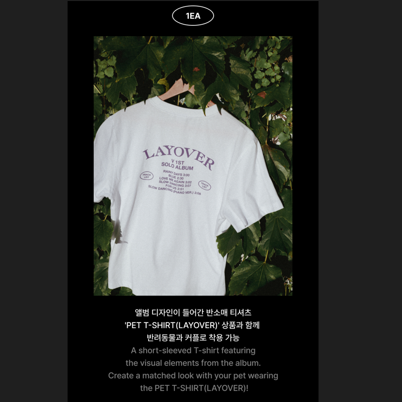 [预购] Layover 春夏T恤 (Layover) (白色)