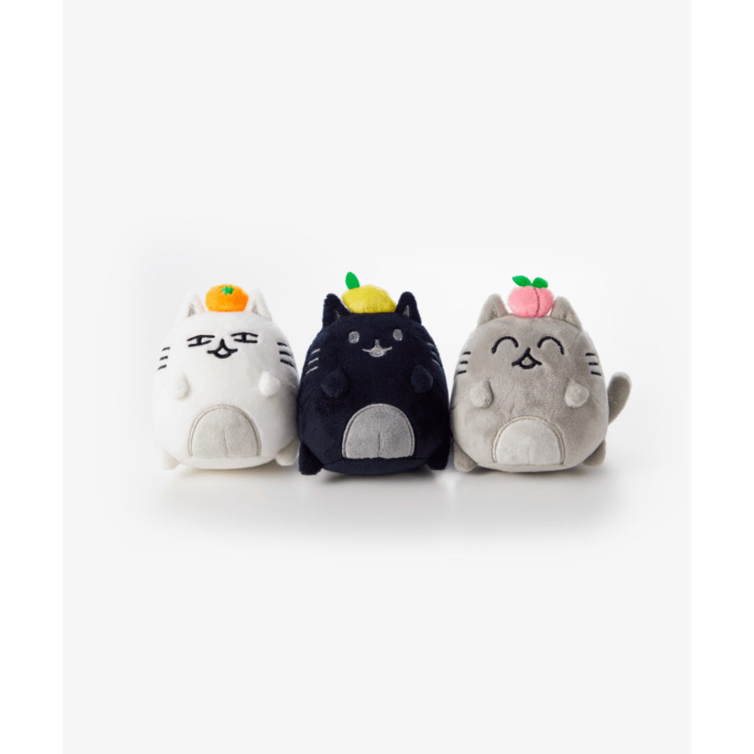 Seventeen Artist-Made Collection | Kgifts.shop Seventeen Artist-Made Collection | Kgifts.shop