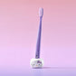 Euthymol Whitening Purple Toothbrush Double Plan (Hello Kitty Toothbrush Holder)