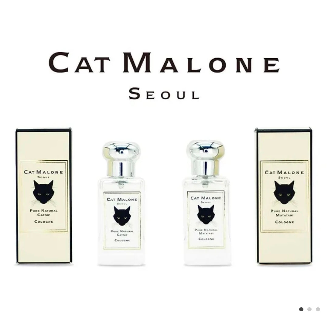 [My cat] My cat is a cute cat project "Cat Malone Seoul" Perfume