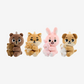 [Pre-order] DAY6 - Pier 10: All My Days (No Variation)