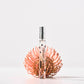 Leplein Sunset Flower Gyeongju 10ml Perfume