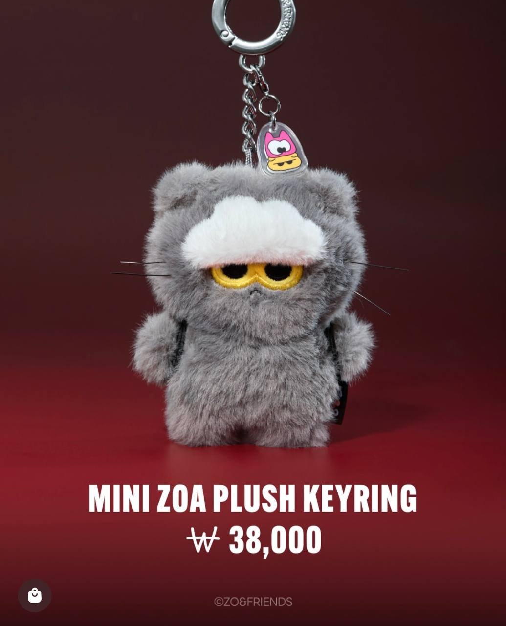 ZO& Friends x Line Friend Collaboration Merch Offline Pop Up