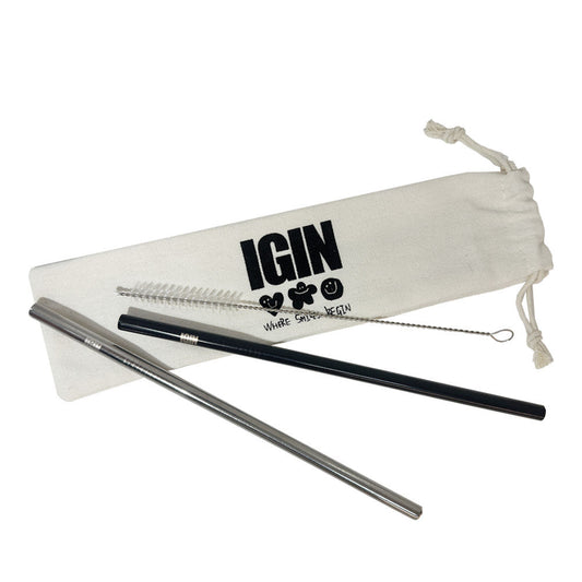 Jin's Lamp IGIN Eco-Friendly Straight Stainless Steel Straw & Pouch Set