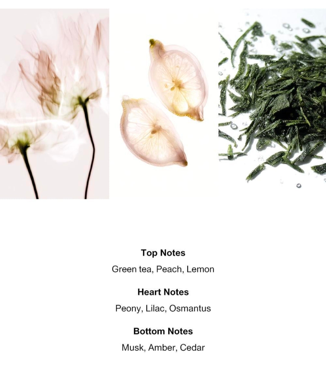 Rbow Hair Perfume Mist 50ml Monochrome (+ Free Scrunchie) - Kgifts.shop