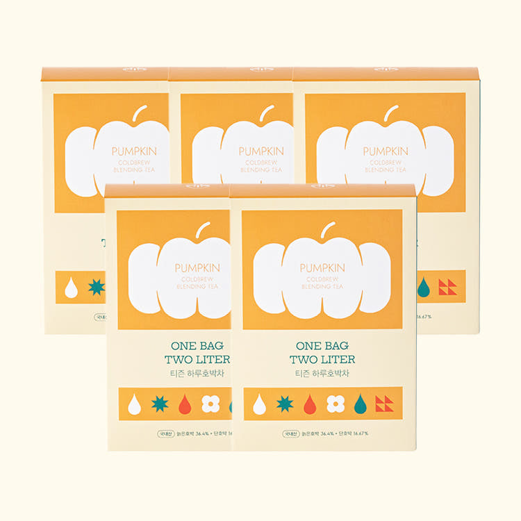 Taeson Haru Pumpkin Tea Coldbrew (10 teabags/box)