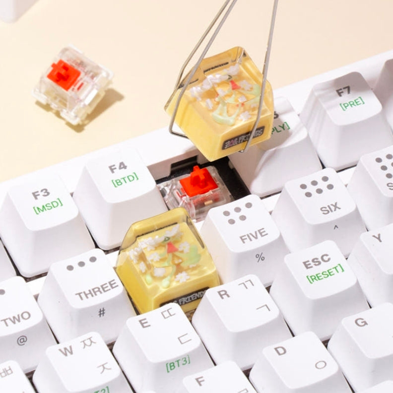 Zo&Friends and Resin Keycaps