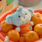 Bt21 Orange Party