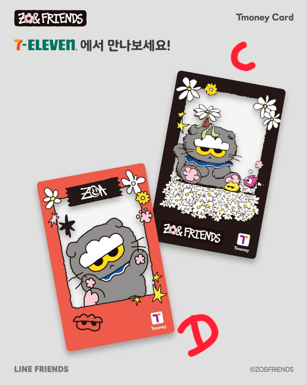 Zo & Friends Tmoney Card