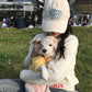 [Korean Celebrity Pick] DENIM FLOWER KNOT CAP