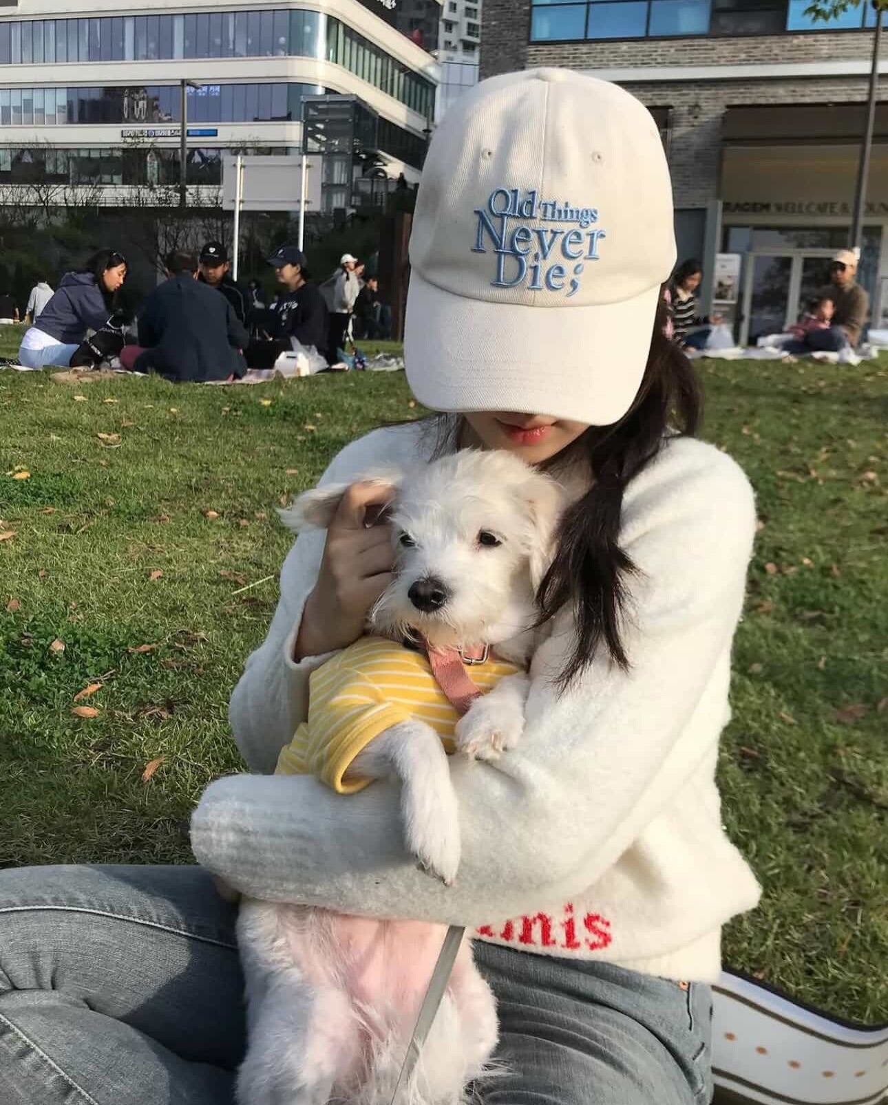 [Korean Celebrity Pick] DENIM FLOWER KNOT CAP