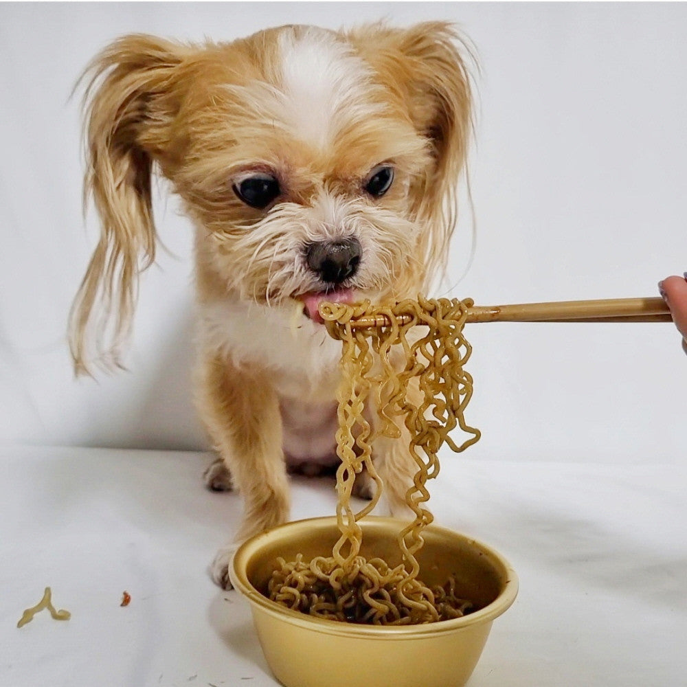 Puppy Ramen Homemade Snacks