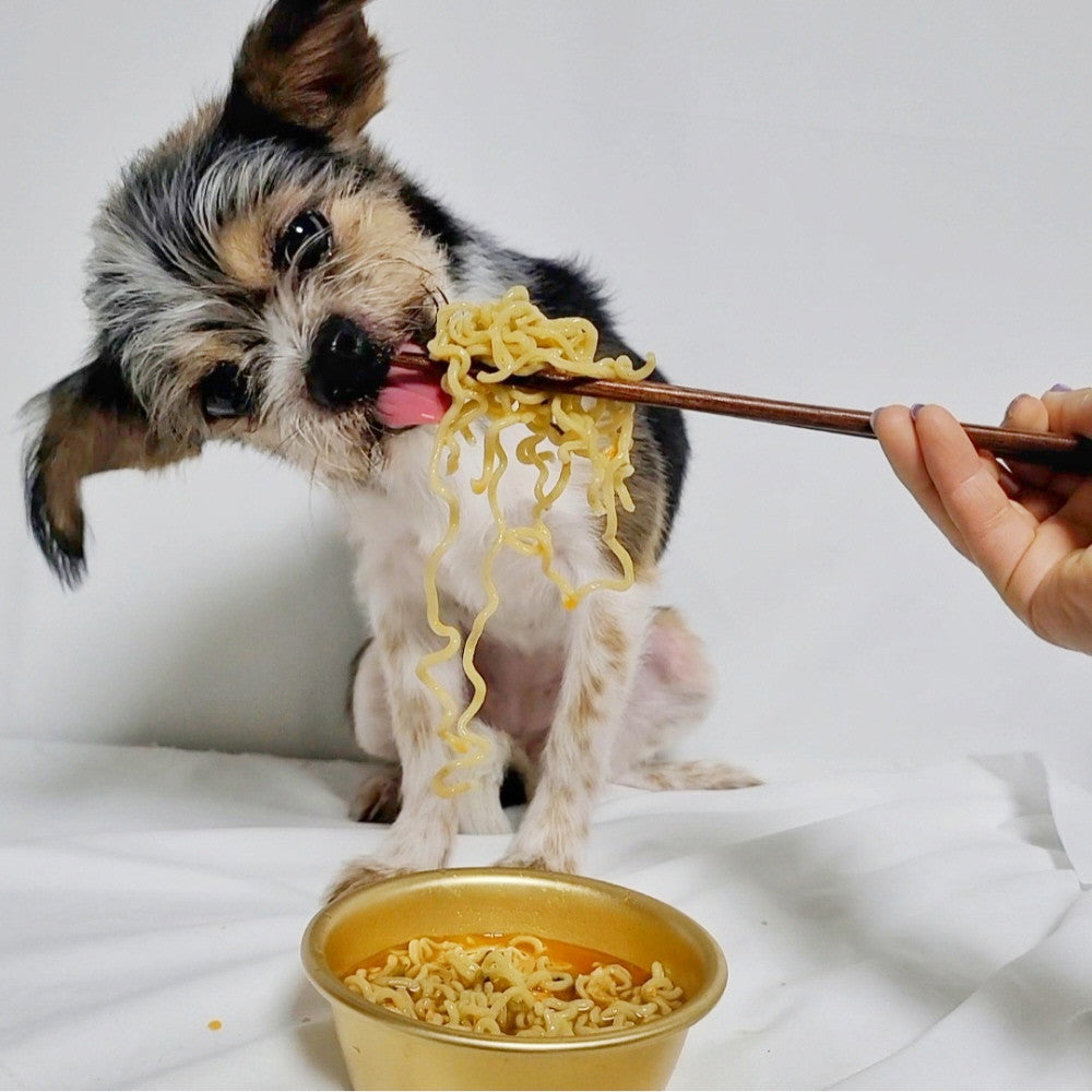 Puppy Ramen Homemade Snacks