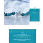 Aquamarine Raw Mother of Pearl Dolphin Lucky Sea Bracelet