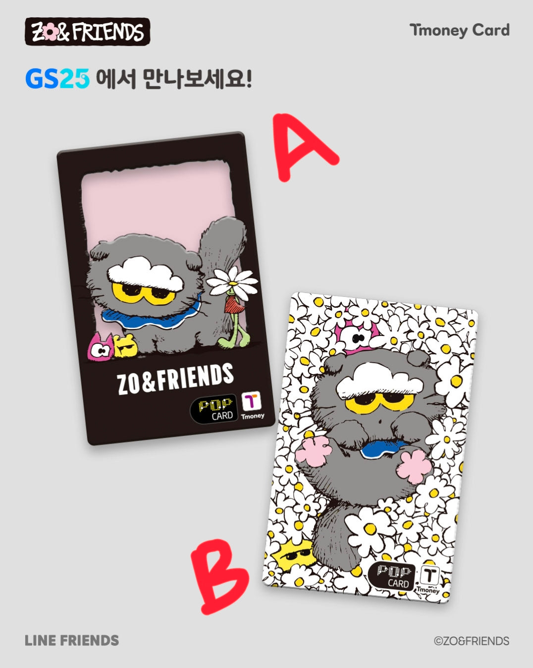 Zo & Friends Tmoney Card