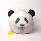 Everland Fubao Ruihui Face Cushion