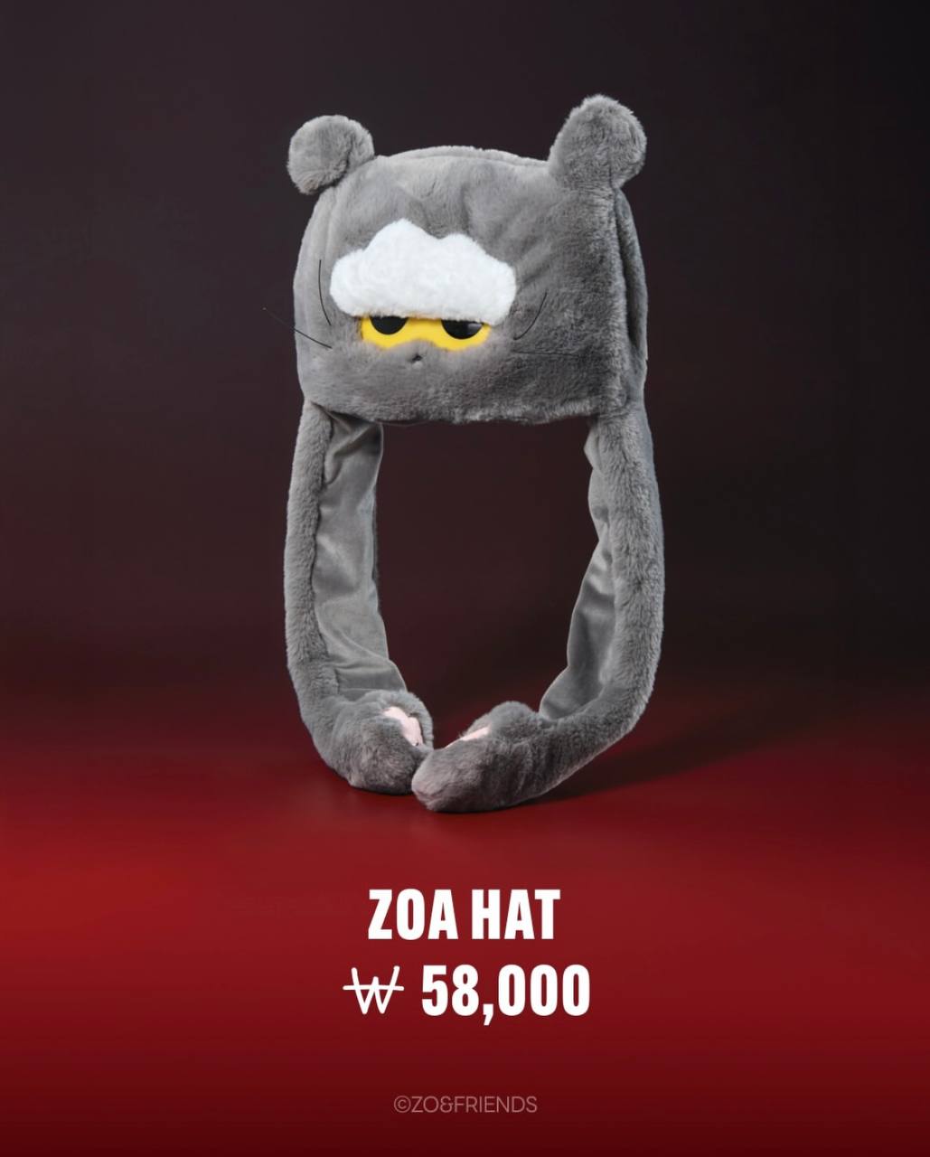 ZO& Friends x Line Friend Collaboration Merch Offline Pop Up