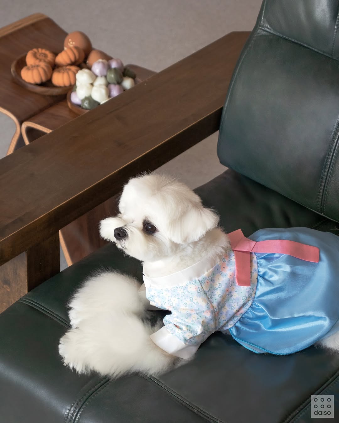 Doggy Hanbok (Pink/ Blue)