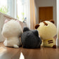 BT21 BABY MORE FLUFFY PRE-ORDER