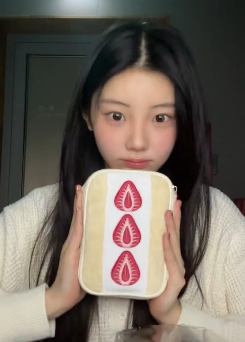 Katze Strawberry Sandwich Pouch (Celebrity Pick)