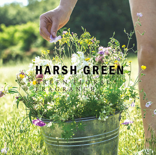 LOE Hand Perfumed Cream 50ml (Jungkook Pick)