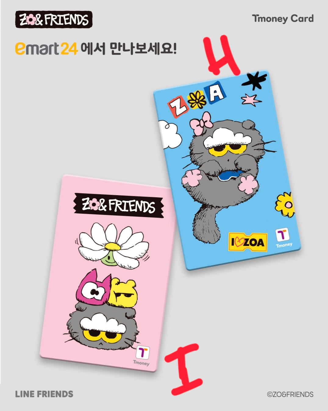 Zo & Friends Tmoney Card