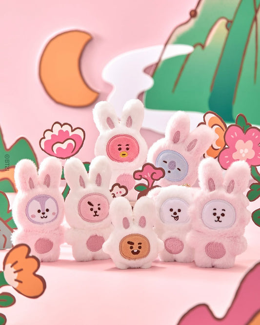BT21 FLAT PLUSH KEYRING K-TOKKI