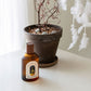 [ Yedam Pouch + Acorn Scent Charm ] Pillow Mist & Dreamcatcher Gift Set