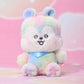 BT21 MEDIUM PLUSH BEYOND THE JOURNEY