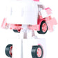 Robocar Poli Deluxe Transformer Toy Amber
